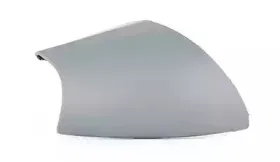 Покрытие, внешнее зеркало BSG купить